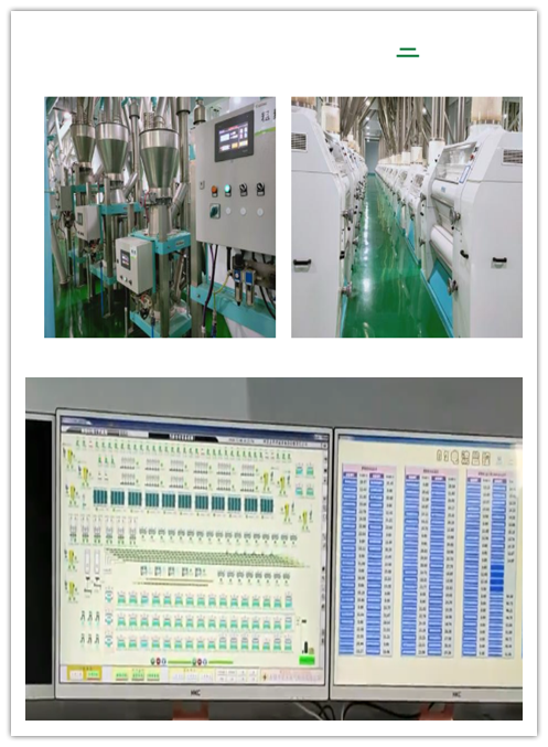 500T/D wheat flour production line