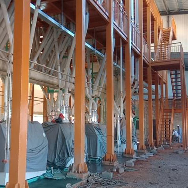 240T/D Turnkey Project Maize Milling Plants Setup In Zambia