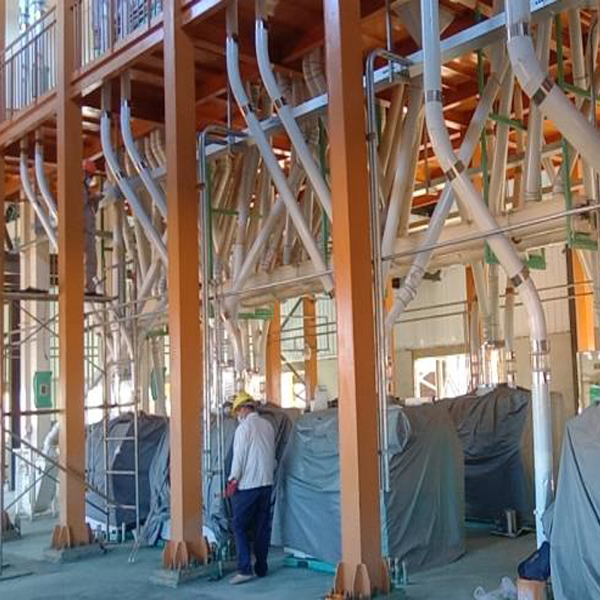 240T/D Turnkey Project Maize Milling Plants Setup In Zambia