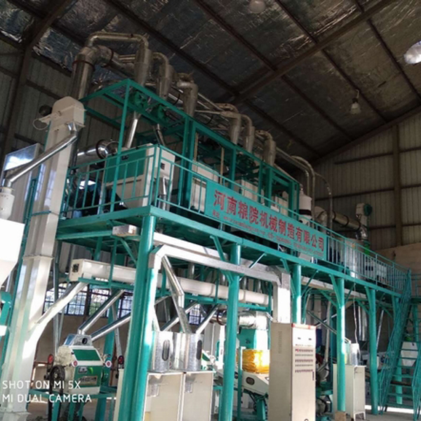 30T/D Low Cost Maize Processing Equipment For Farms