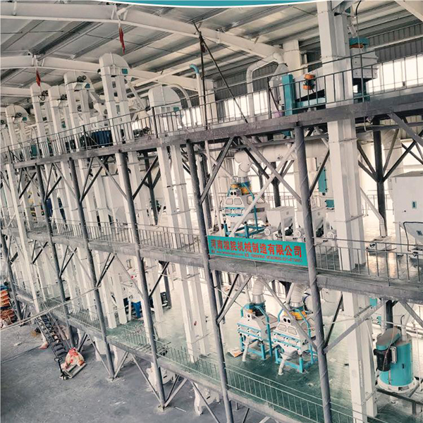 300TPD Steel Structure Maize Grits Milling Plant From China