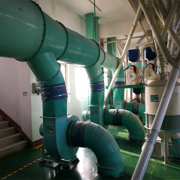 300TPD Steel Structure Maize Grits Milling Plant From China
