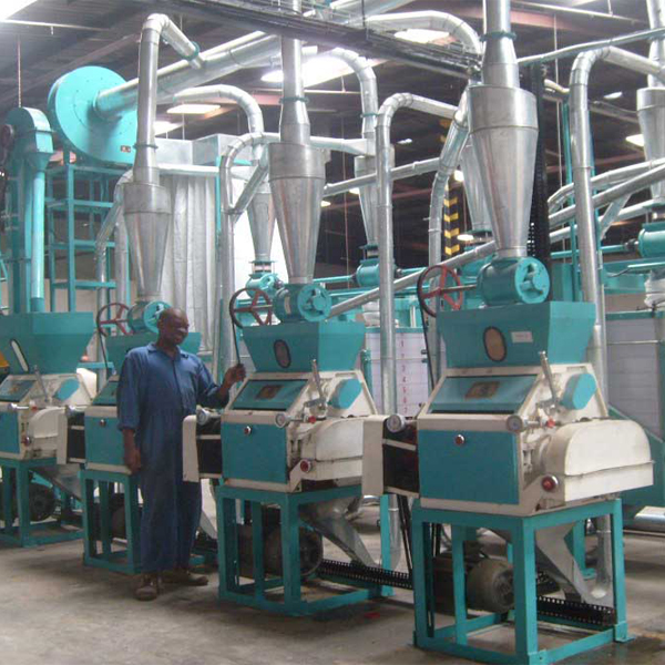 Small Scale Maize Processing Machinery For Farms