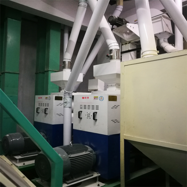 200T/D Fully Automatic Muiti Corn Processing Equipment