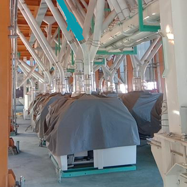 10T/H Highly Automatic Corn Flour Production Line For Multiple Use