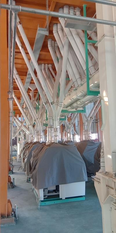 corn flour production line for multiple use
