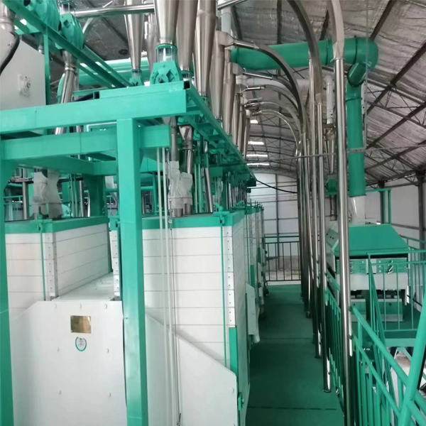 50T/D Most Popular Wheat Flour Milling Plant