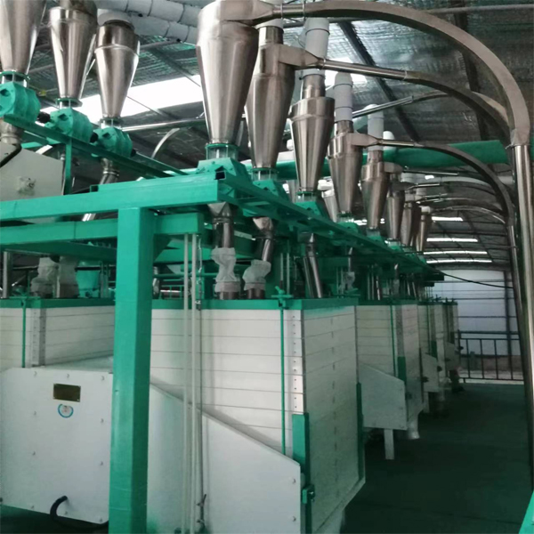 Most Popular 60T/D Bread Flour Milling Machine