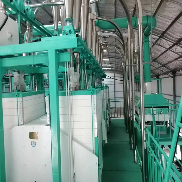 Most Popular 60T/D Bread Flour Milling Machine