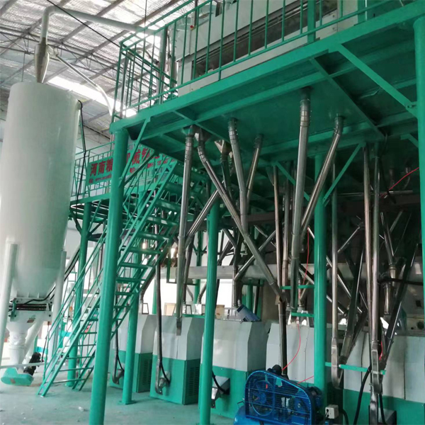 Most Popular 60T/D Bread Flour Milling Machine