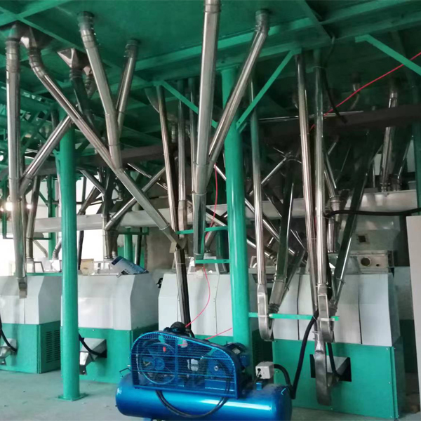 Most Popular 60T/D Bread Flour Milling Machine