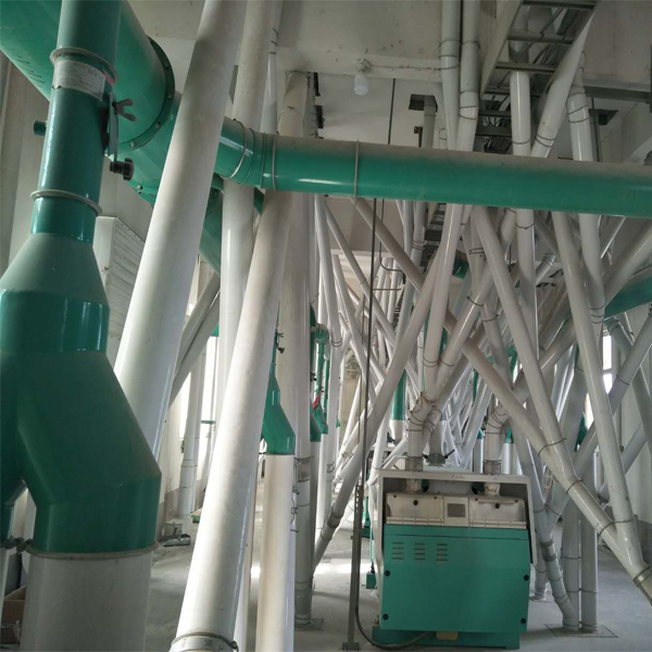 300TPD Turnkey Wheat Milling And Processing Plant From China
