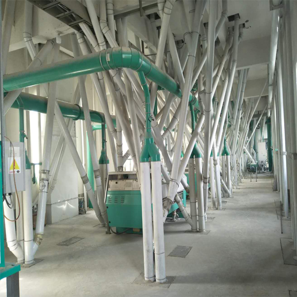 300TPD Turnkey Wheat Milling And Processing Plant From China
