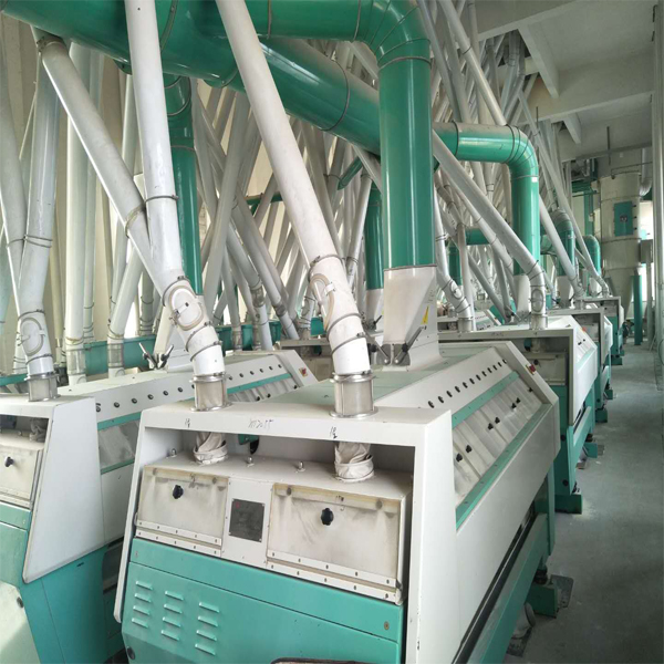 300TPD Turnkey Wheat Milling And Processing Plant From China