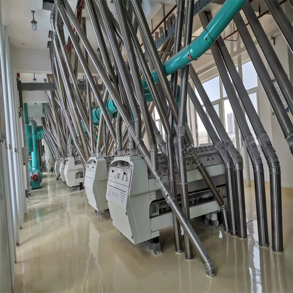 500TPD Complete Set High Efficiency Wheat Flour Production Line