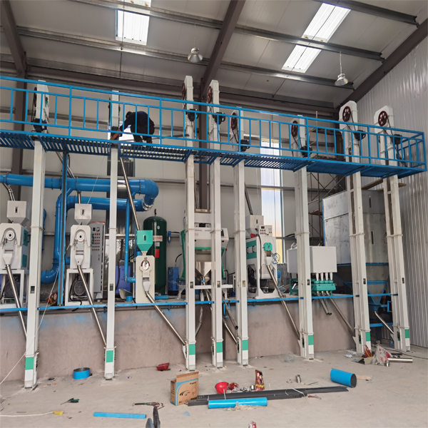 40 ton rice processing machines