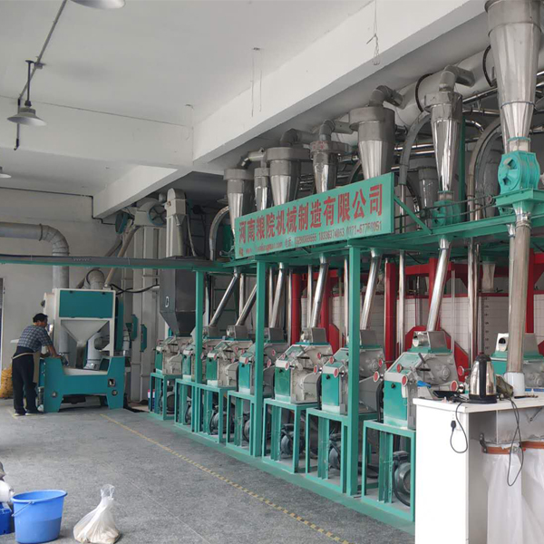 30T/D Low Cost Grain Wheat Processing Machine For Farms From China