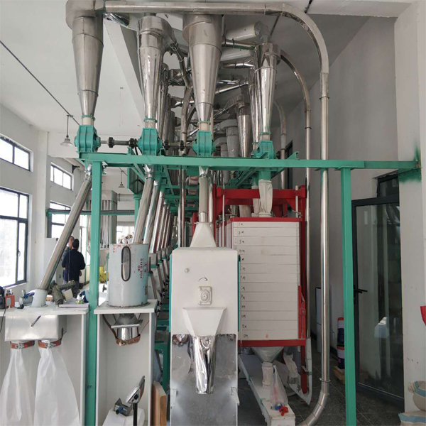 30T/D Low Cost Grain Wheat Processing Machine For Farms From China