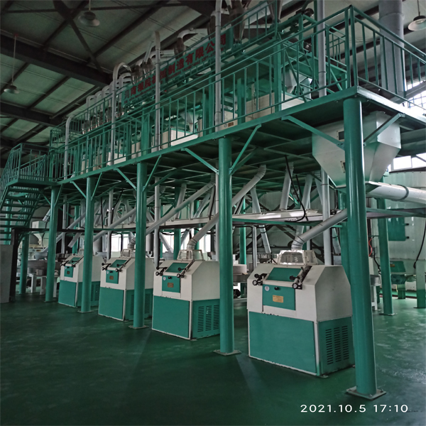 40TPD Compact Structure Industrial Wheat Milling Plant