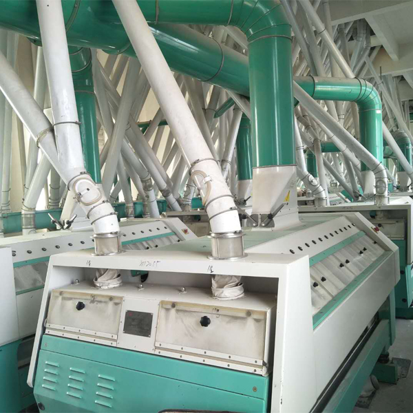 bread flour production line