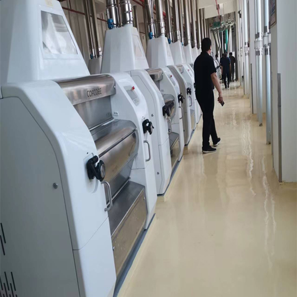 Large Scale Wheat Flour Processing Plant For Multiple Use