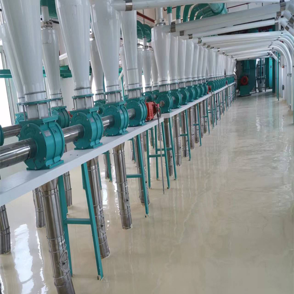 Large Scale Wheat Flour Processing Plant For Multiple Use
