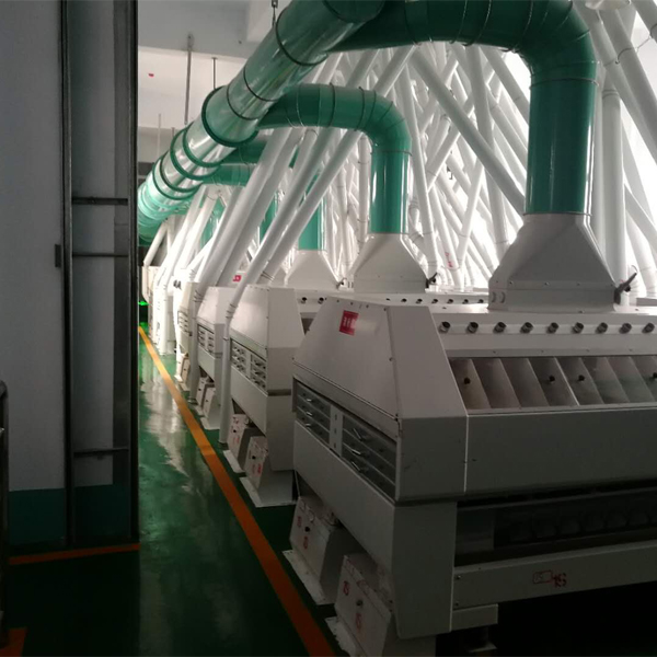 7TPH Turnkey Project Wheat Flour Milling Plants
