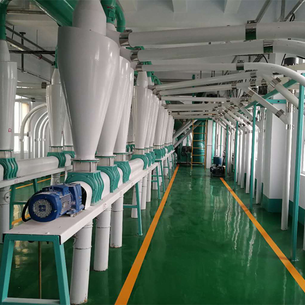 New design wheat flour production line