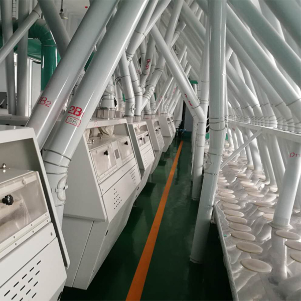fully automatic wheat flour production line