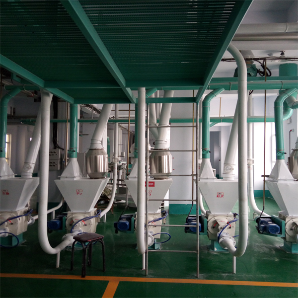 80TPD High Output Whole Wheat Processing Plant