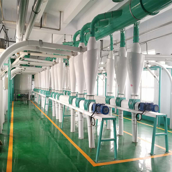 3tph Compact Structure Wheat Flour Milling Plant