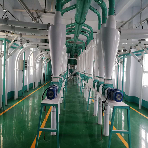 100T/D Wheat Milling Plant From China For Bread Cake Pasta Biscuits Flour