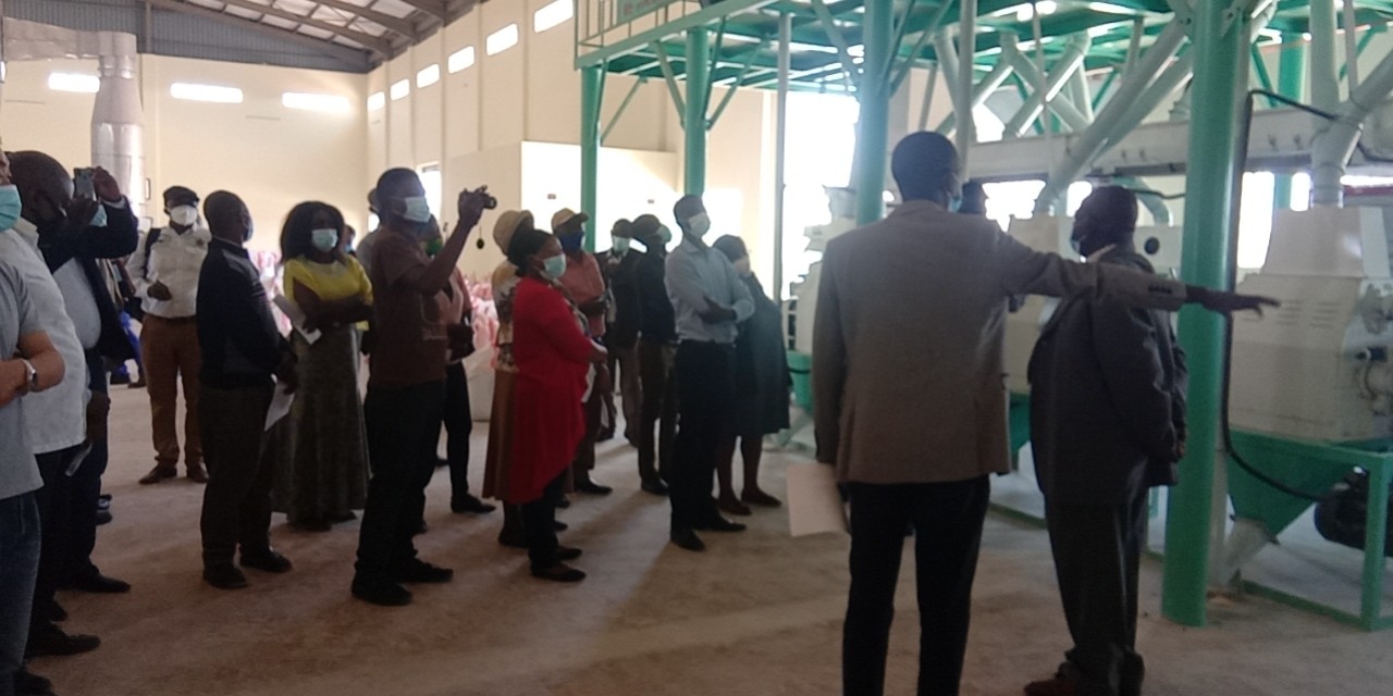Automatic cassava flour processing machine