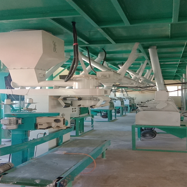 Multi Best Selling Dewatering Cassava Flour Processing Machine
