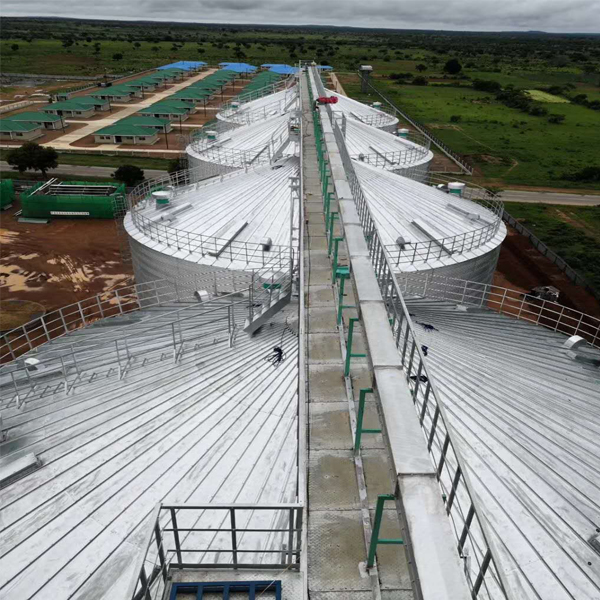 500T Galvanized Steel Chicken Feed Grain Storage Silo