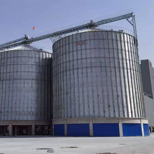Multifunctional 10000T External Circulation System Grain Storage Silo