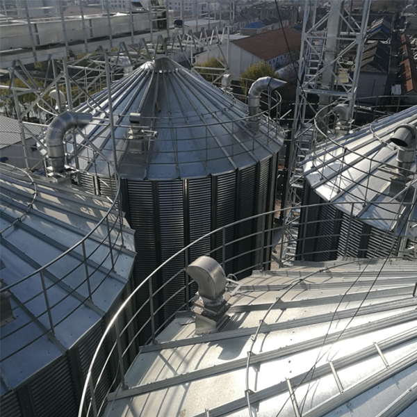 Multifunctional 10000T External Circulation System Grain Storage Silo