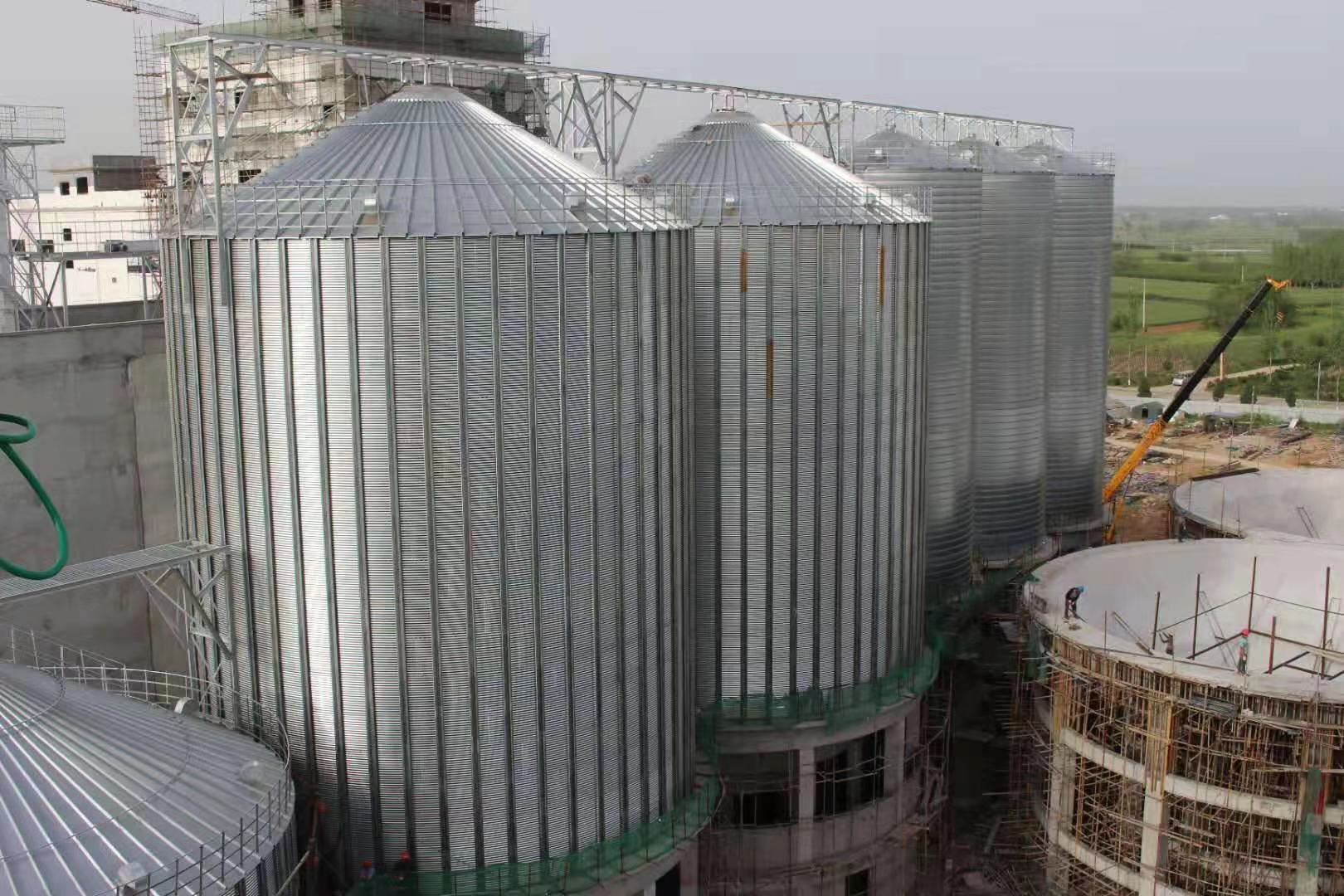 10000T grain storage silo