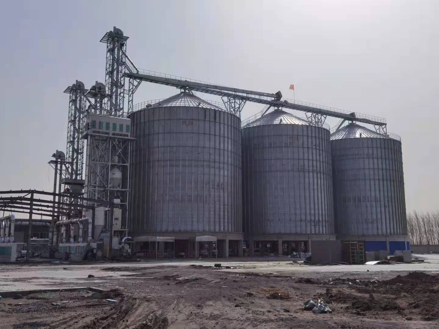 10000T grain storage silo