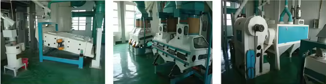 100T/D millet processing machine