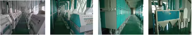 Complete set millet processing machine