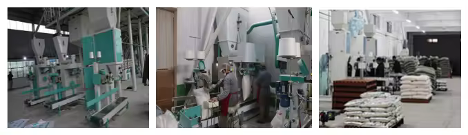 High yield millet processing machine