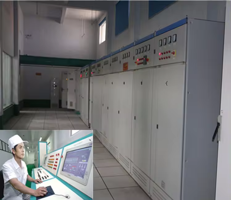 100T/D millet processing machine