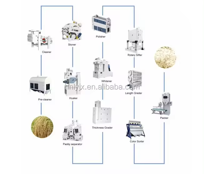 Bucketwheat cleaning processing machine