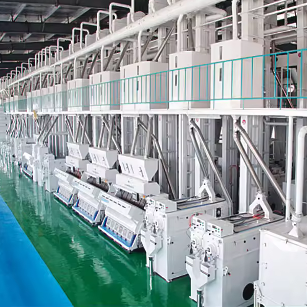 60TPD Complete Commericial Buckwheat Processing Machine