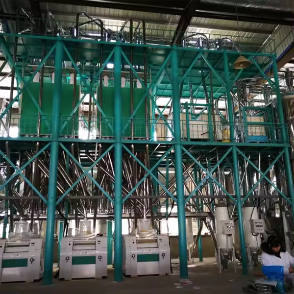 Soybean Green Bean Cocoa Bean Processing Machine