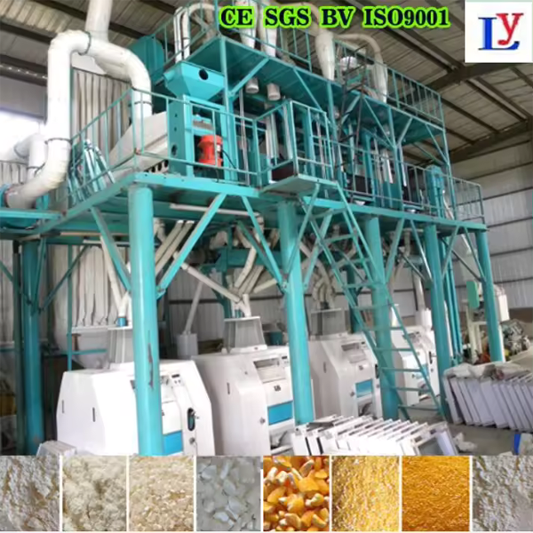 Soybean Green Bean Cocoa Bean Processing Machine