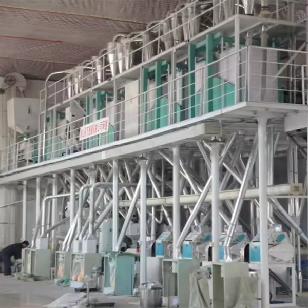 New Small Scale Automatic Bean Processing Machine