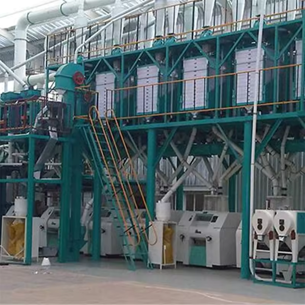 New Small Scale Automatic Bean Processing Machine