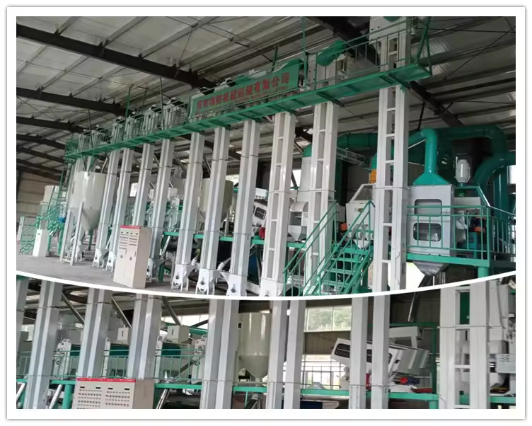 double body paddy separator machine
